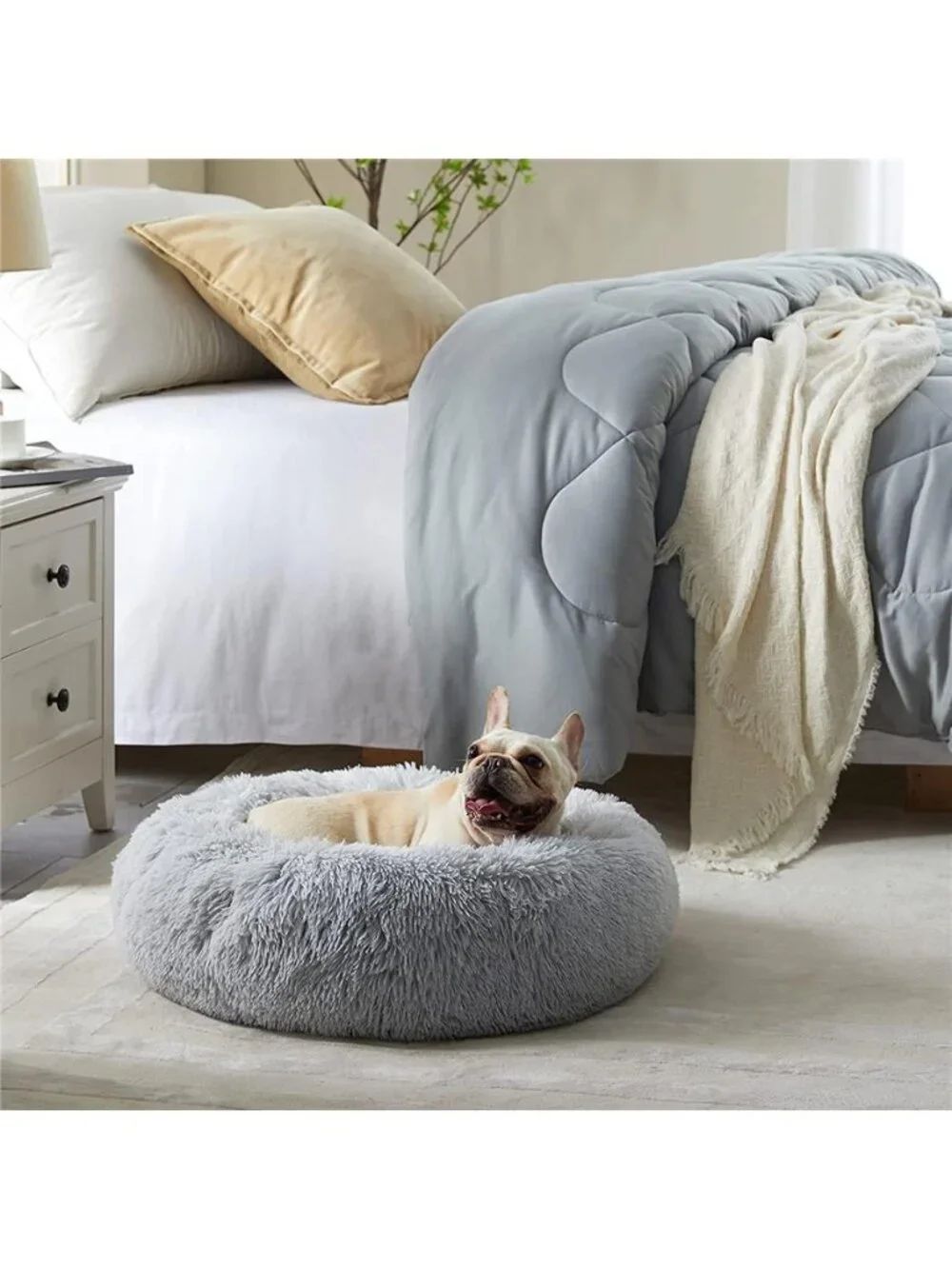 N/A comfortable dog